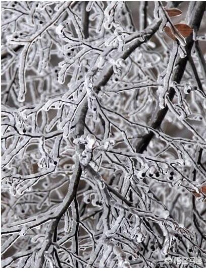 长沙市下雪是什么样子