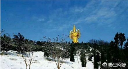 长沙市下雪是什么样子