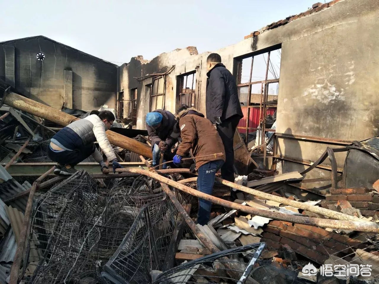 保定市小狗市场在哪里 保定市小狗市场在哪里