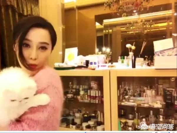 范冰冰化妆技巧分析
