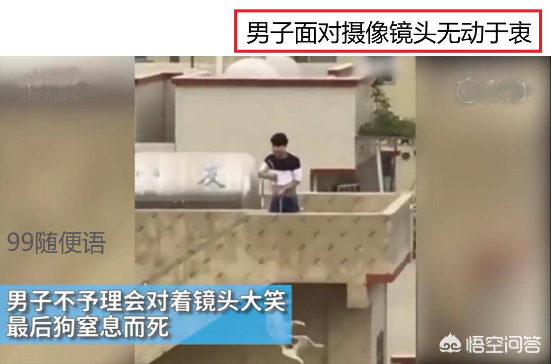 [看门狗]看门狗讲述的是什么故事？