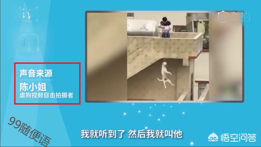 [看门狗]看门狗讲述的是什么故事？