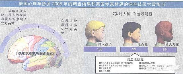 阿富汗海外生活视频网页，阿富汗海外生活视频网页版