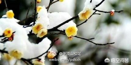 河南省的国家级风景名胜区有哪些？