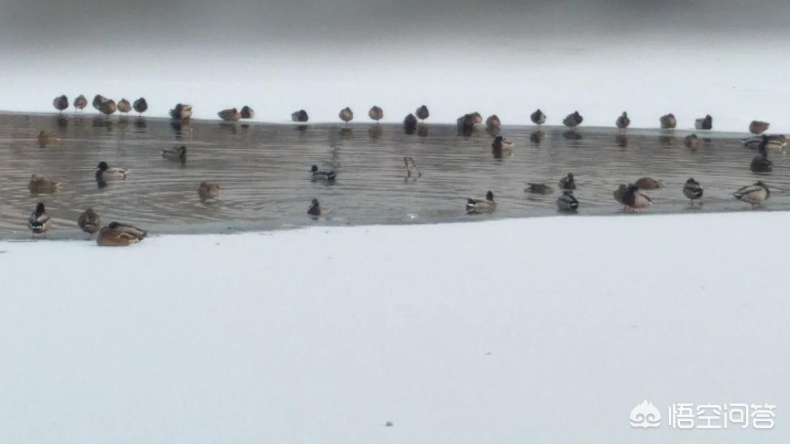 桂林市今天哪里下雪 桂林市今天哪里下雪