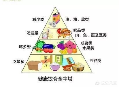 外卖app定制开发温州