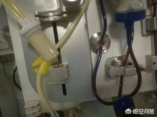 外卖app定制开发温州