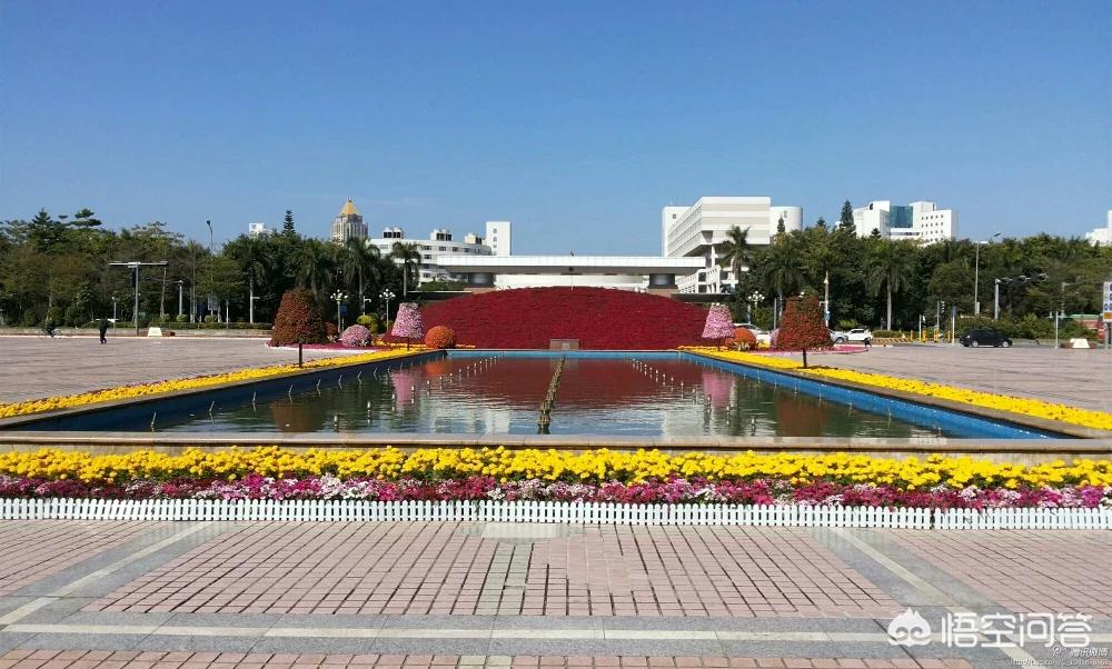 深圳市哪个区街道最多的