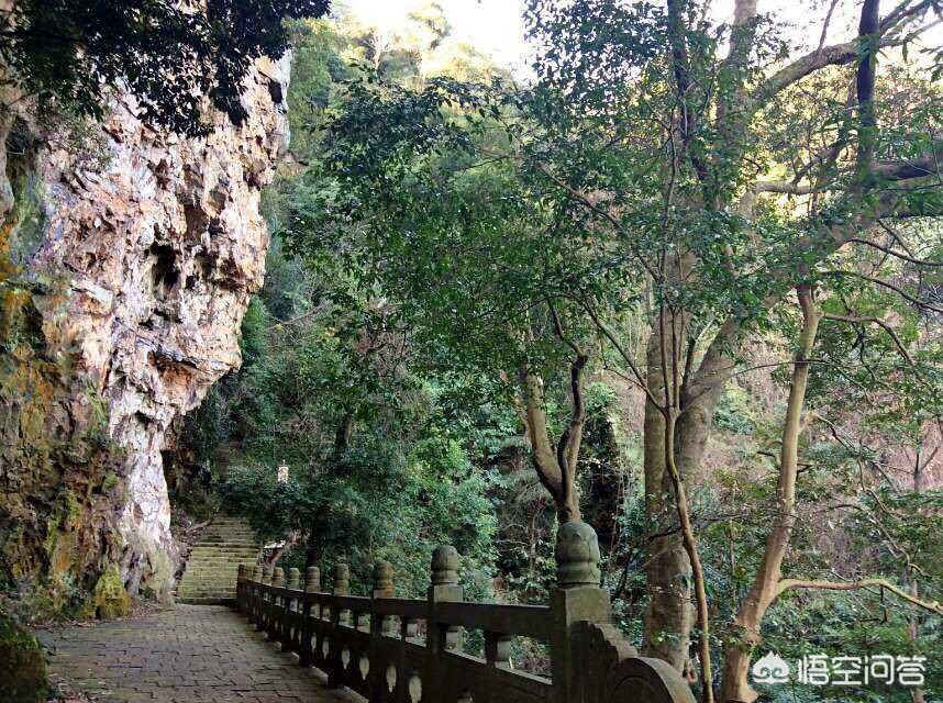宁波市有什么好玩的公园