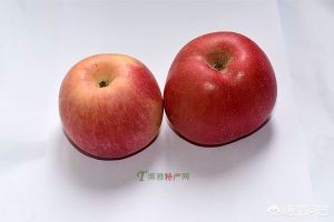 咸阳市淳化县有什么特产？