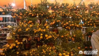 广州市什么时候有花街