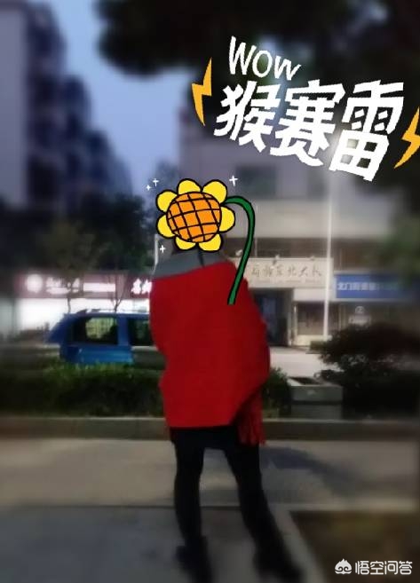 披肩围巾的最佳尺寸？：披肩围巾