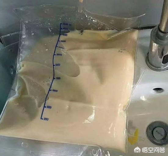 外卖app定制开发温州