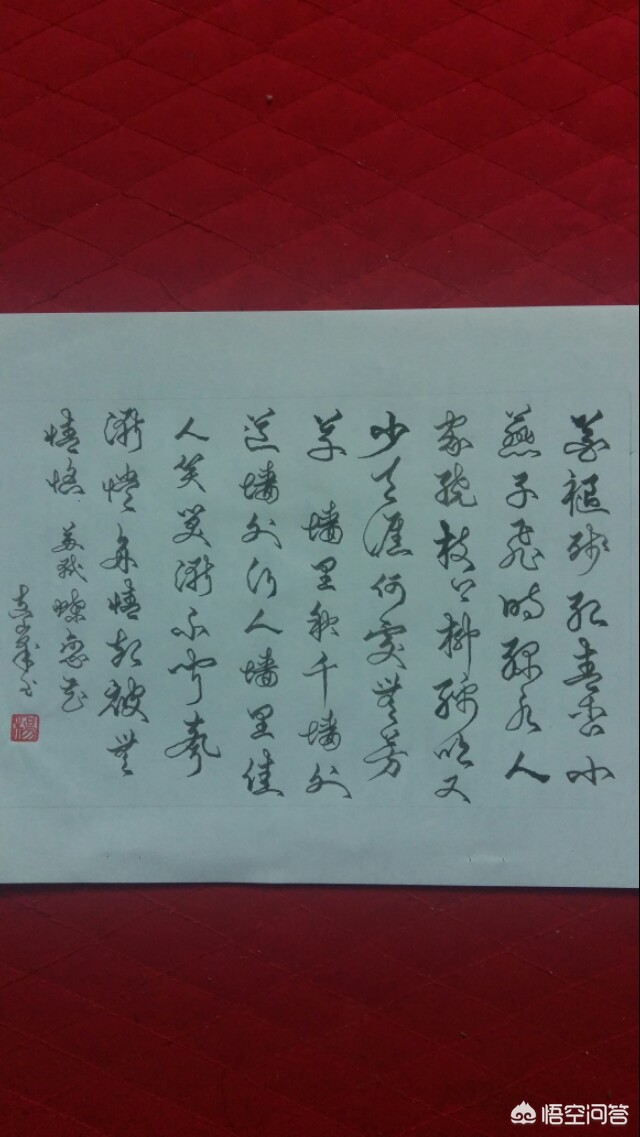 像草书的字体是什么