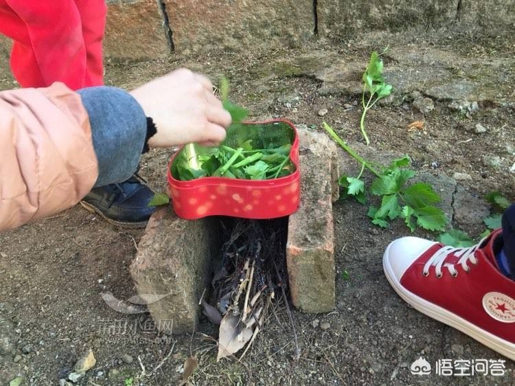 过家家游戏有什么特点? 过家家游戏有什么特点?