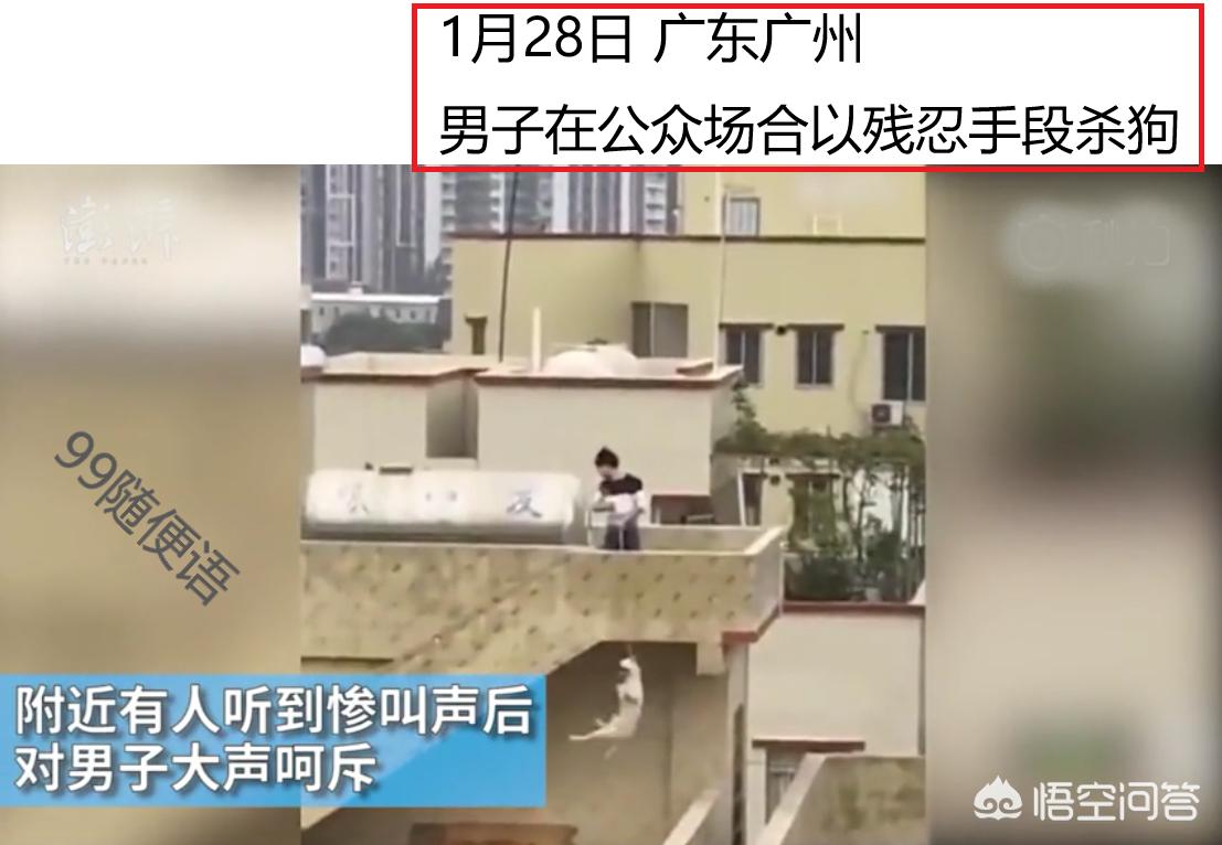 [看门狗]看门狗讲述的是什么故事？