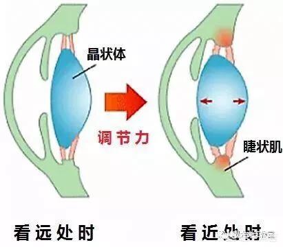大眼操近视化妆技巧
