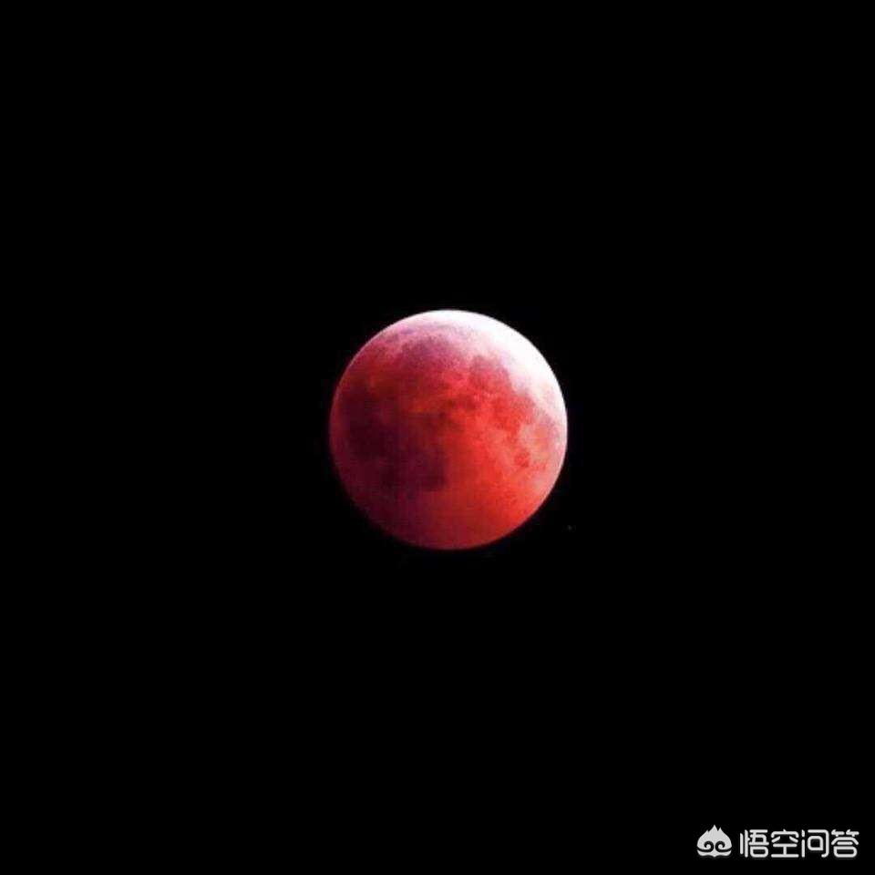红月亮高清大图来了（1月31日的月全食红月亮，你拍下来了吗？）