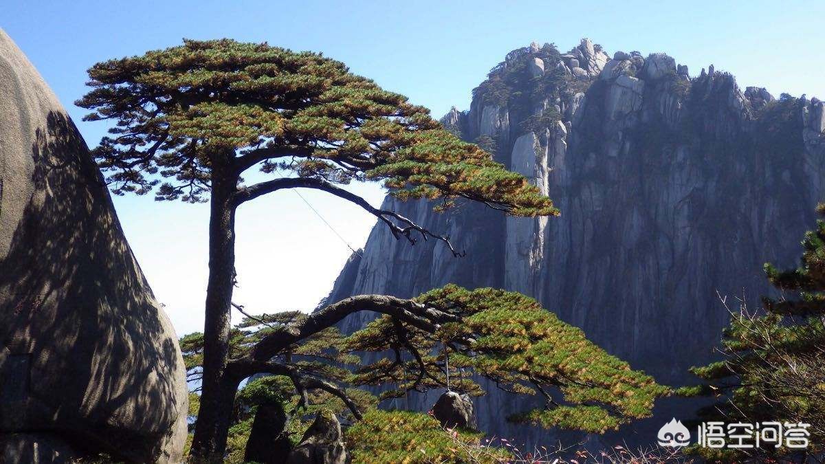 安徽户口和河南户口哪个好？