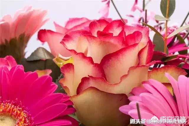 深圳市商贸公司怎么样