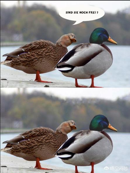 水印怎么去水印怎么去除