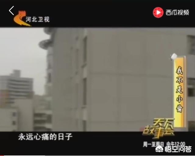 如何看待海口市一双胞胎因偷光碟被保安拘留，被母亲数落后双双跳楼？：辟谣双胞胎学生跳楼
