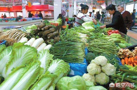 武汉市菜价为什么这么贵 武汉市菜价为什么这么贵