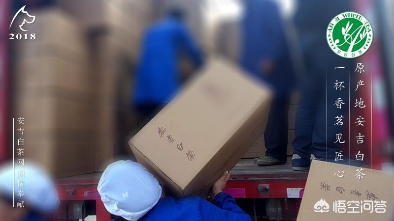 安吉汽车报价,安吉汽车报价查询