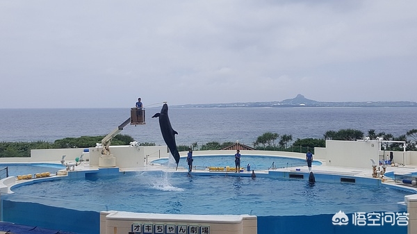 海滩美女 海外生活视频，海滩美女 海外生活视频在线观看