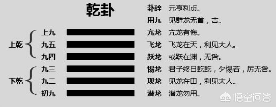 六爻八卦基础知识，六爻八卦基础知识系列讲座