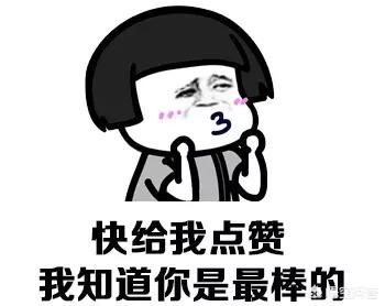 奥迪a6低配
