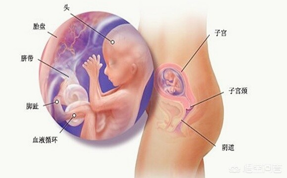 牛年第一期，21018期大乐透时隔16期现3重号，是巧合么？：3岁女童16楼坠亡