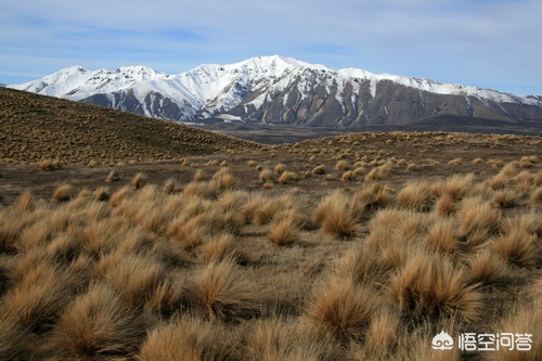 图片制作网站哪个较好用,如何生成图片网址?