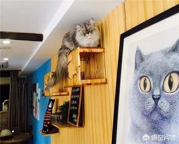无锡市最美咖啡馆在哪里