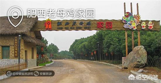 合肥市东部有什么扩展
