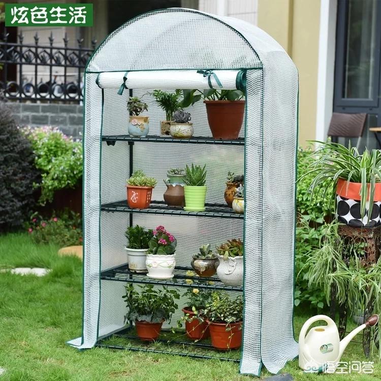 迷你主机搭建网站视频
