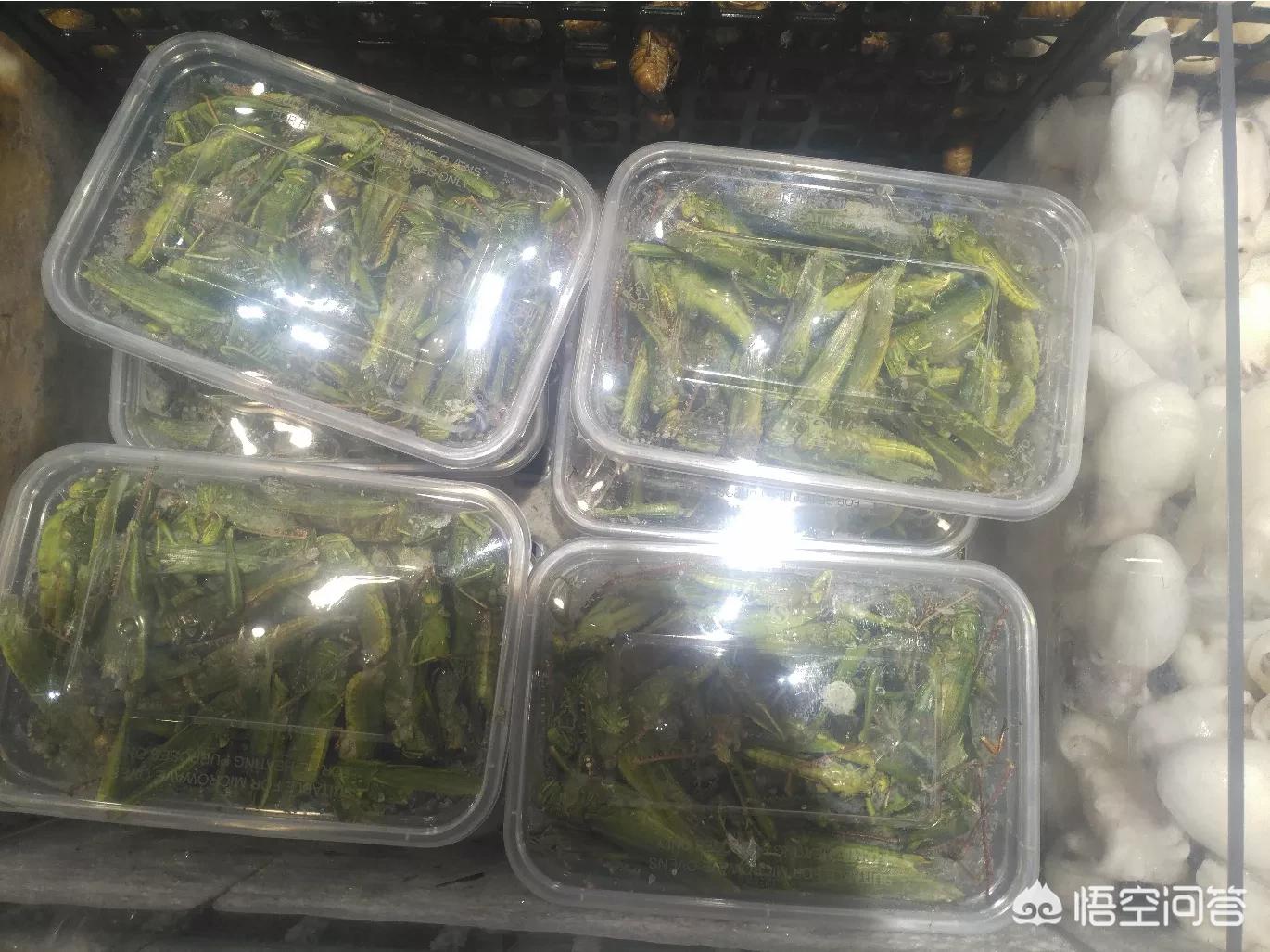 河南过年的集市有多热闹？