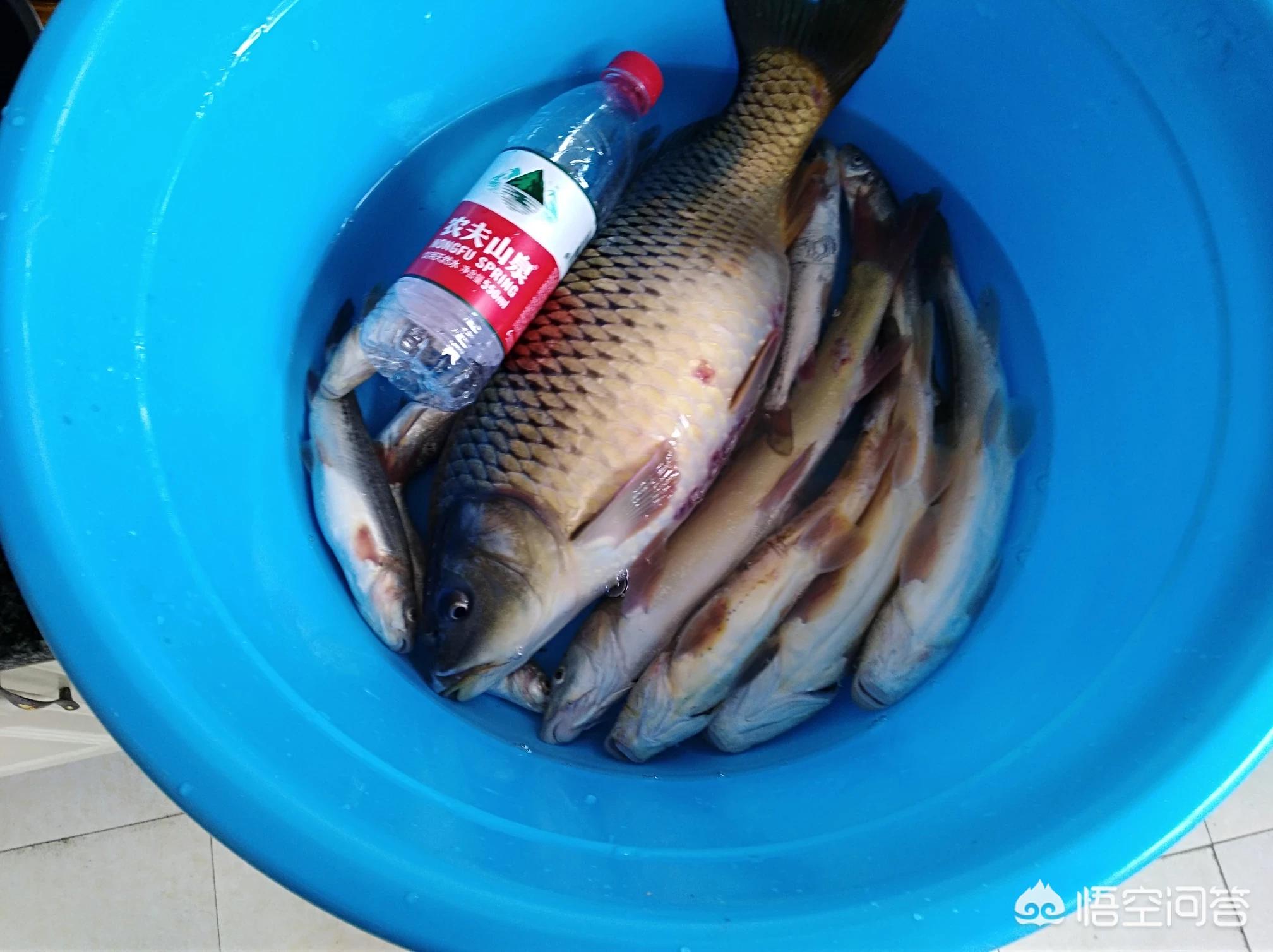 奔驰260怎么样