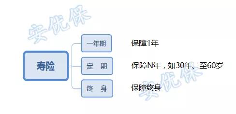 意外保险必须买重疾险吗，意外保险必须买重疾险吗多少钱