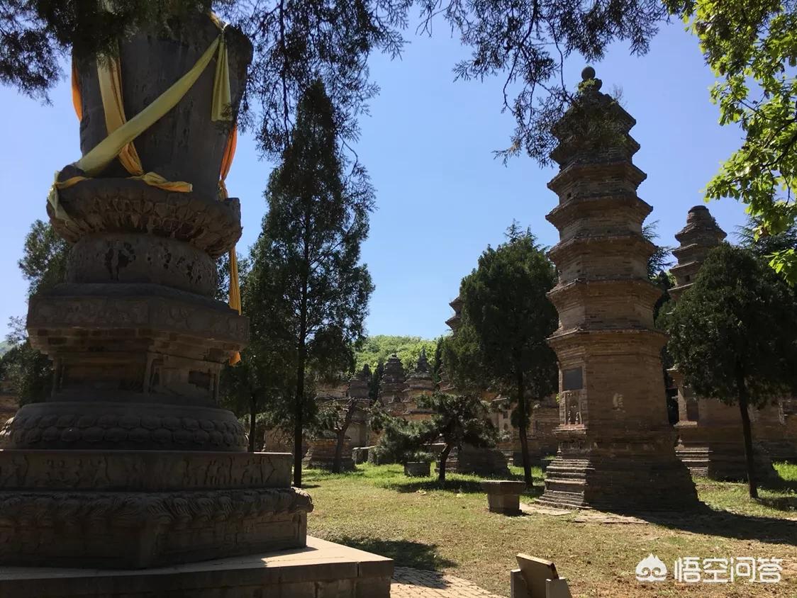 广西河南哪个发展得好 广西河南哪个发展得好