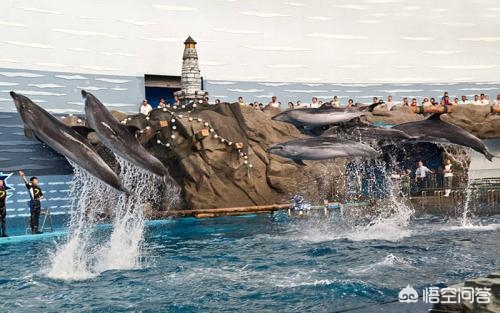 辽宁省大连市玩什么好 辽宁省大连市玩什么好