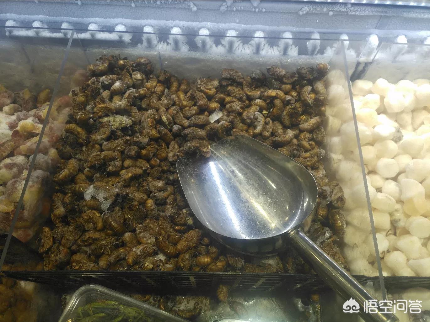 河南过年的集市有多热闹？