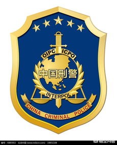 站桥梁跳水护栏倒塌