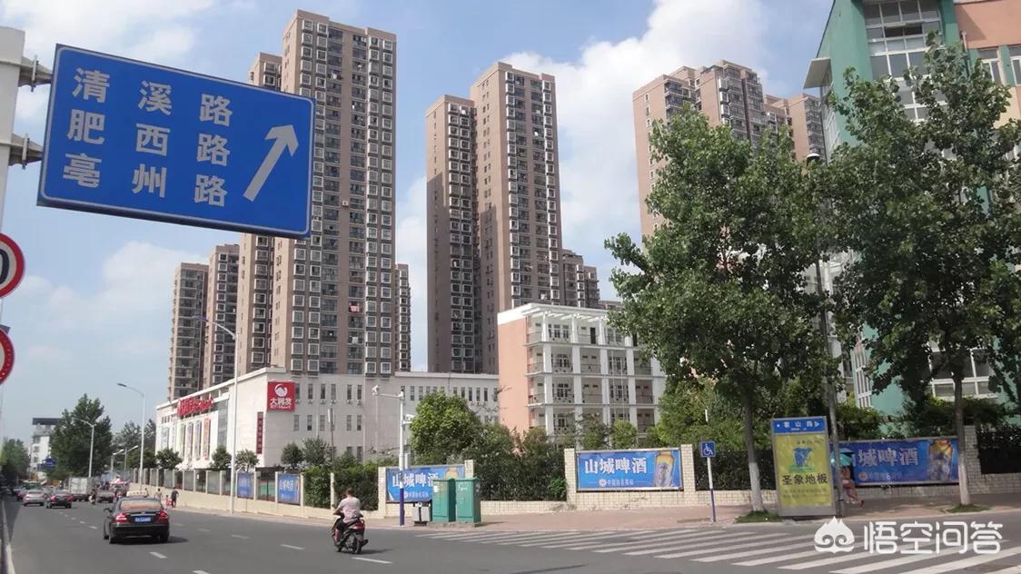 合肥市马路边上是什么花