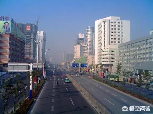 合肥市马路边上是什么花 合肥市马路边上是什么花