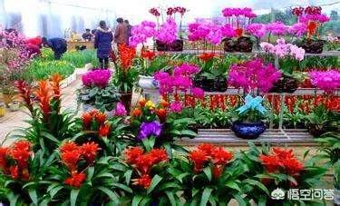 兰州市的鲜花市场在哪里