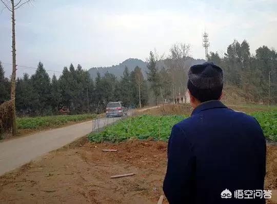 生父回应娃塞后备箱