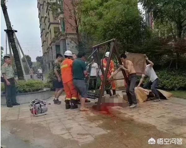香港今晚开奖结果开奖记录和8岁女童被撞身亡与8岁女孩车祸