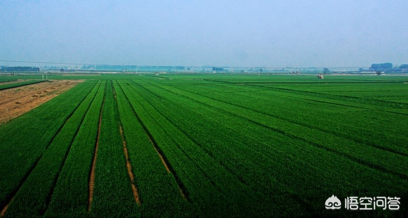 河南农村地势怎么样