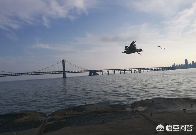 辽宁省大连市玩什么好 辽宁省大连市玩什么好